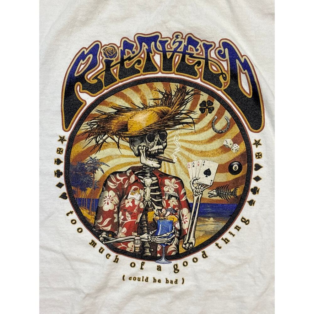 Rietveld USA grunge too much of a good thing vacation Large shirt